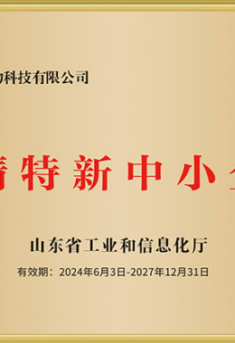 专特精新中小企业