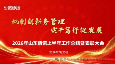 工作总结暨表彰大会