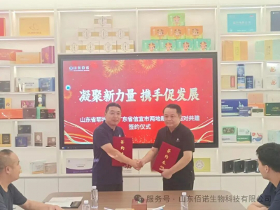 鲁粤两地新阶层