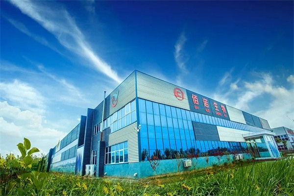 压片糖果加工 压片糖果加工