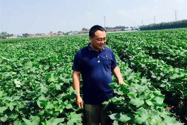 山东佰诺 山东佰诺