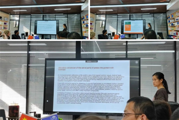 益生菌固体饮料 益生菌固体饮料