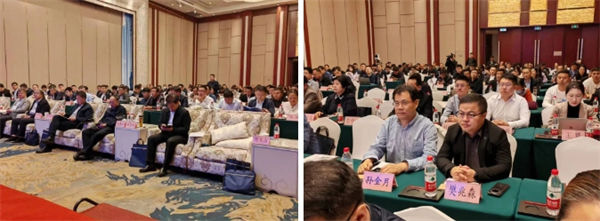 1765174329741995.jpg 8.jpg