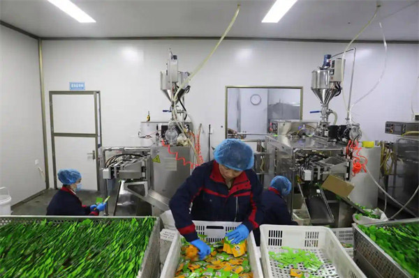 山东佰诺 山东佰诺