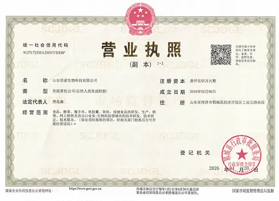 新营业执照 副本 拷贝.jpg